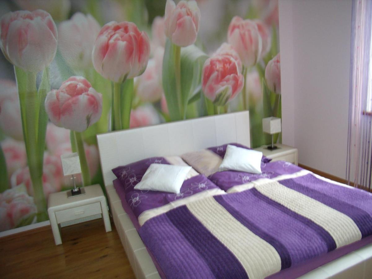 Nad Lomniczka Apartment *